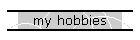 my hobbies